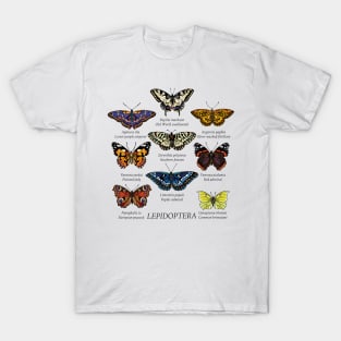 Butterfly species 2. T-Shirt